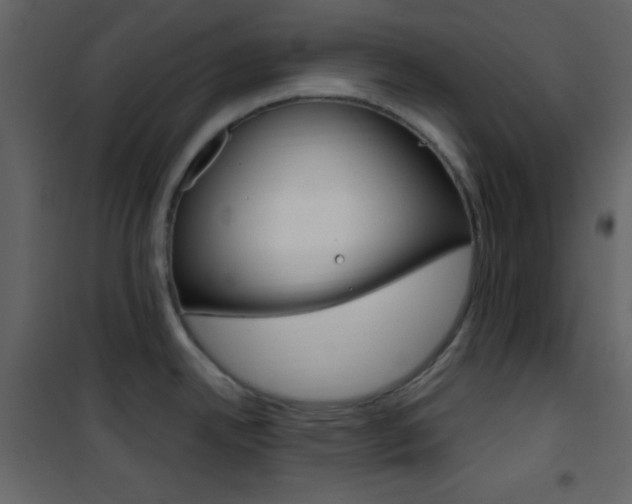 X0000101951342200807171124