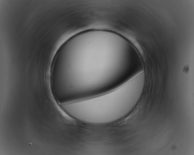 X0000101951343200807171124