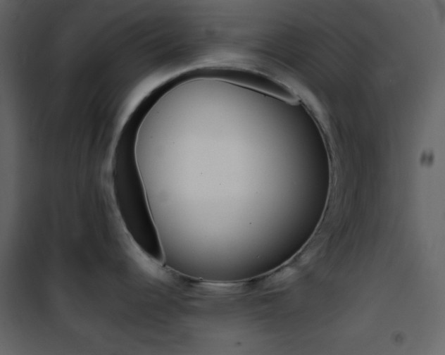 X0000101951344200807171124