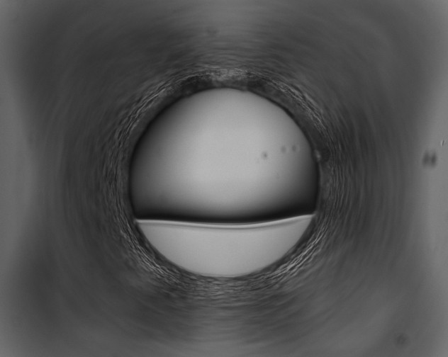 X0000101951345200807171124