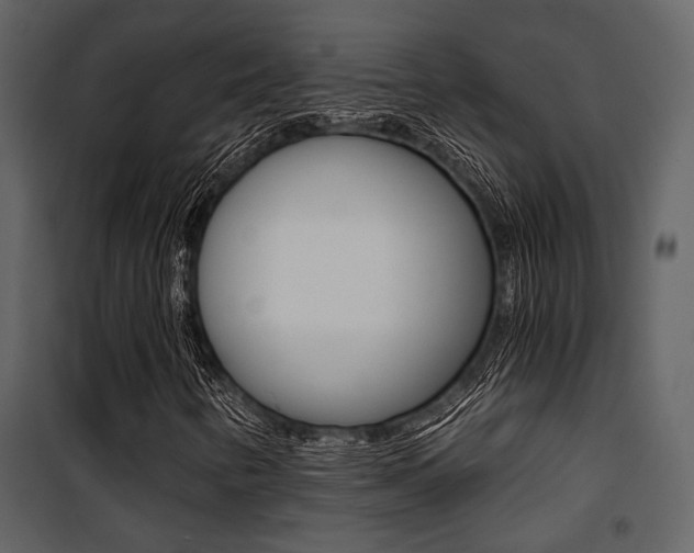 X0000101951346200807171124