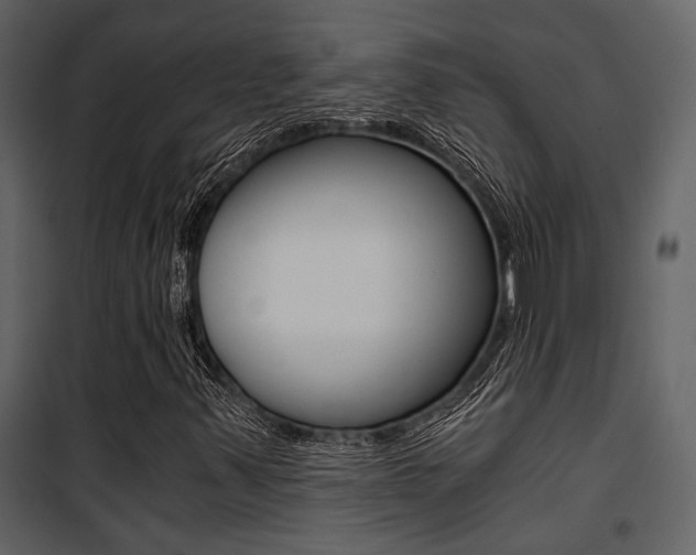 X0000101951347200807171124