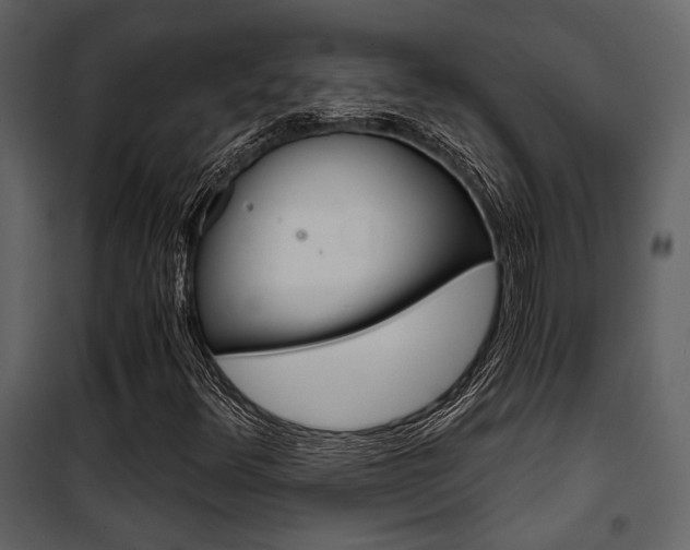 X0000101951348200807171124