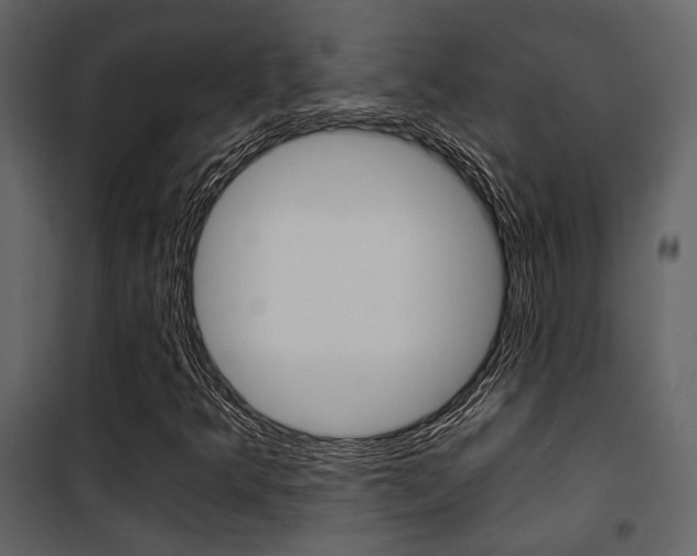 X0000101951349200807171124