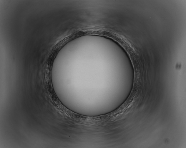 X0000101951350200807171124