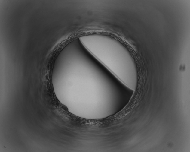X0000101951351200807171124