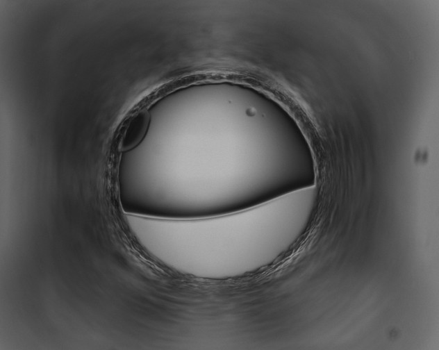 X0000101951352200807171124