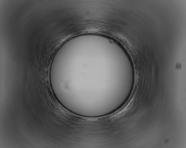 X0000101951353200807171124