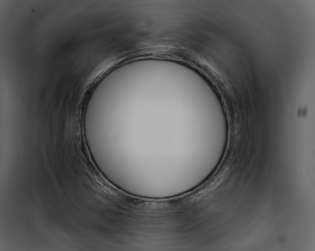X0000101951354200807171124