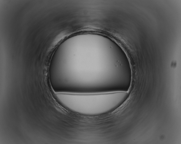 X0000101951355200807171124