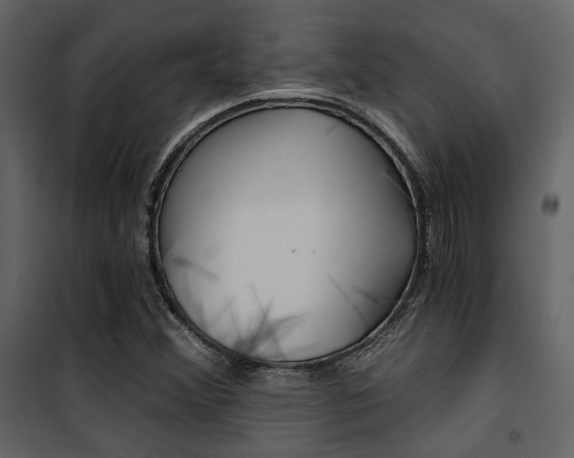 X0000101951356200807171123