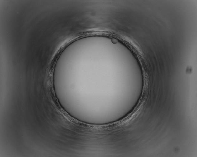 X0000101951357200807171123