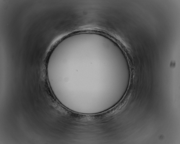 X0000101951358200807171123