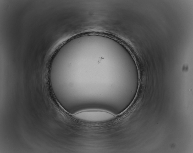 X0000101951359200807171123