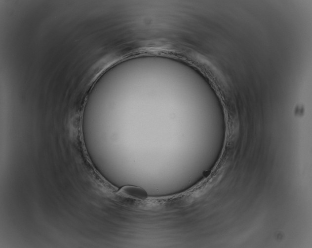 X0000101951361200807171123