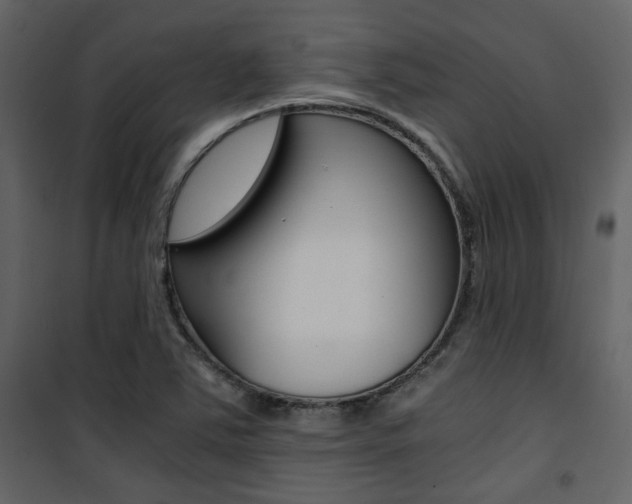 X0000101951363200807171123