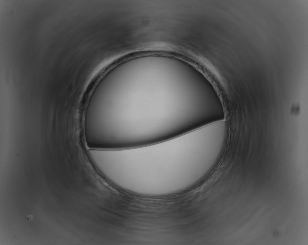 X0000101951364200807171123