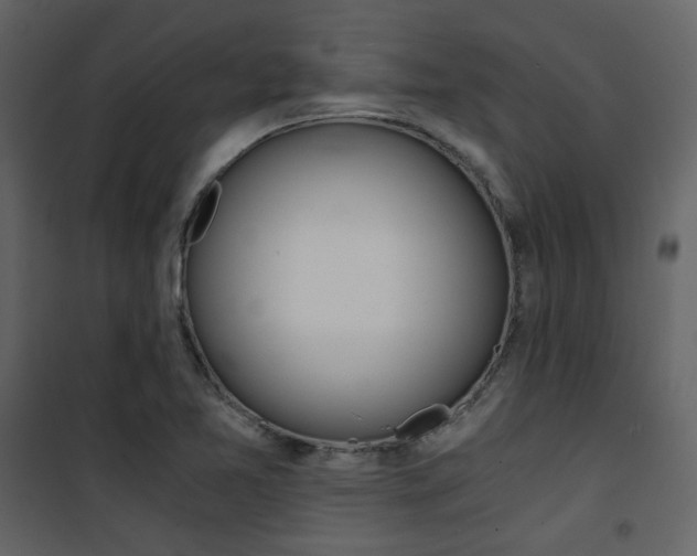 X0000101951365200807171123