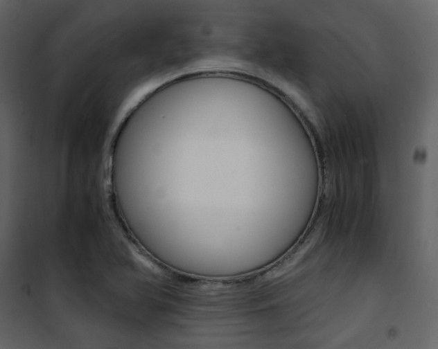 X0000101951366200807171123