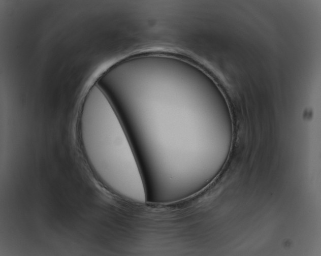 X0000101951367200807171123