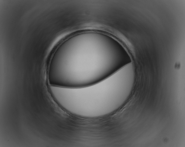 X0000101951368200807171123