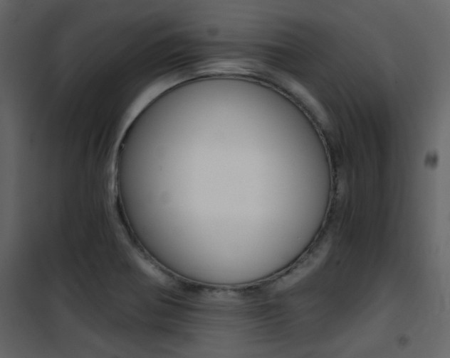 X0000101951370200807171123