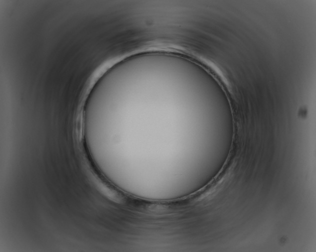 X0000101951371200807171123