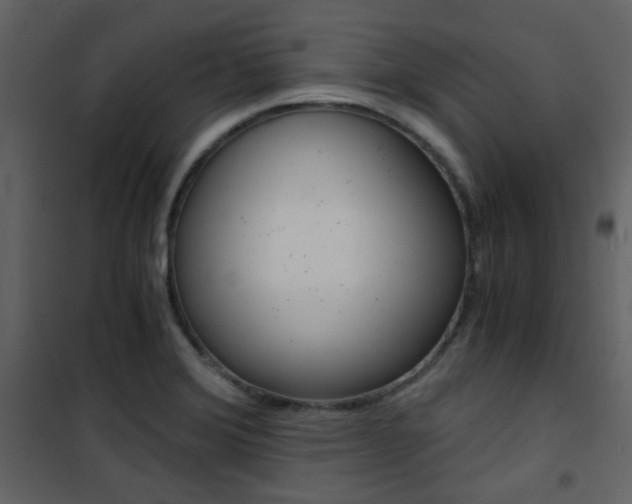 X0000101951372200807171123