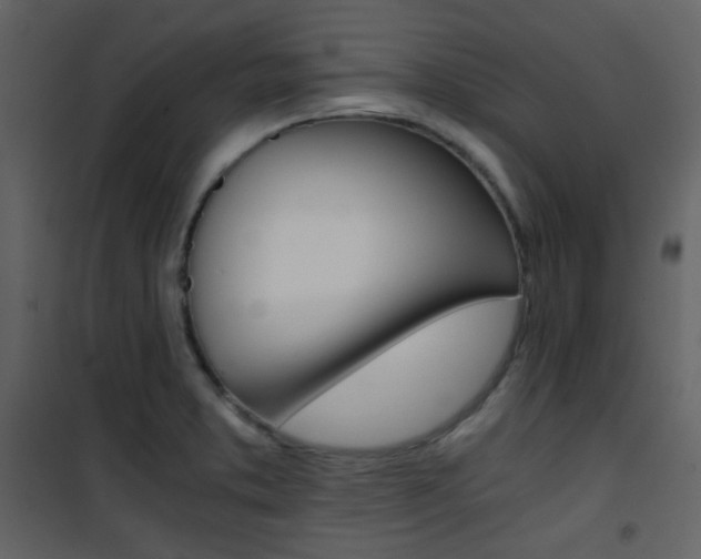 X0000101951373200807171123