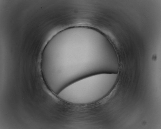 X0000101951374200807171123