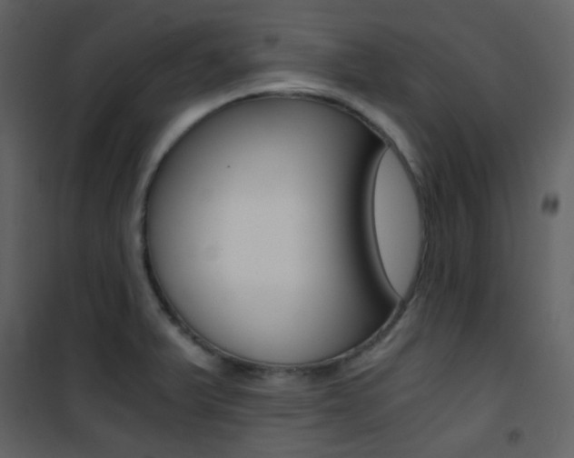 X0000101951375200807171123