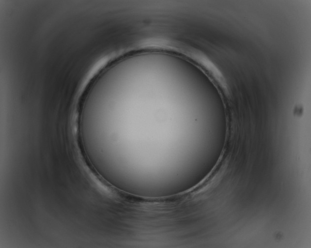 X0000101951376200807171123