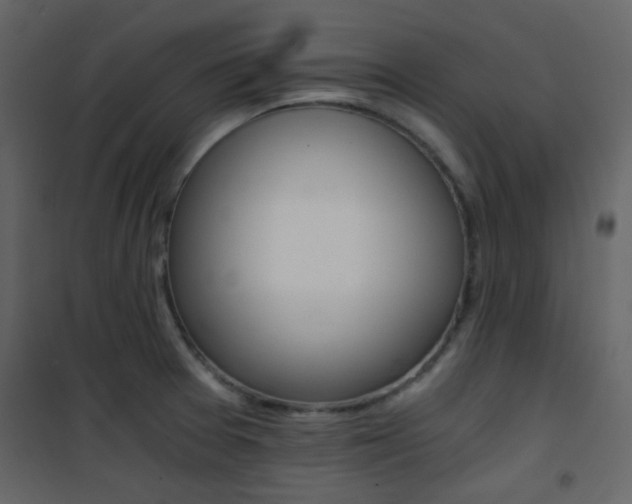 X0000101951377200807171123