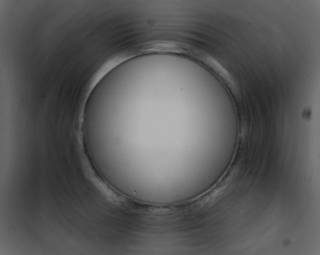 X0000101951378200807171123
