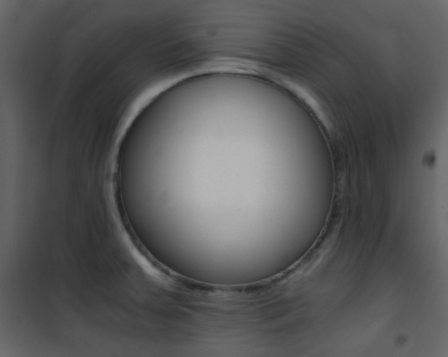 X0000101951379200807171123