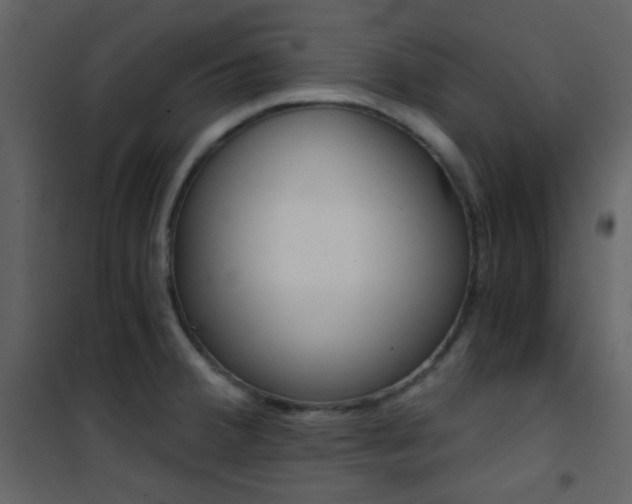 X0000101951380200807171123