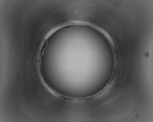 X0000101951381200807171123
