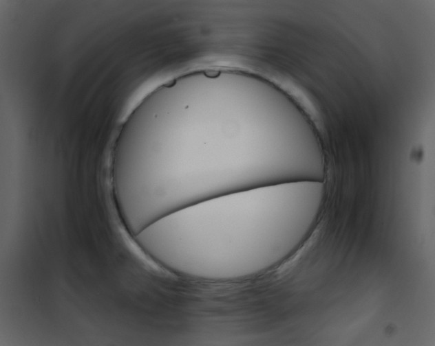 X0000101951382200807171123