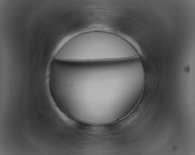 X0000101951383200807171123
