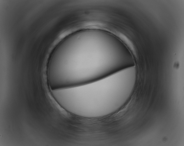 X0000101951384200807171123