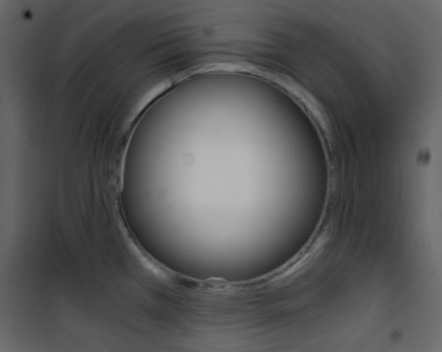 X0000101951385200807171123