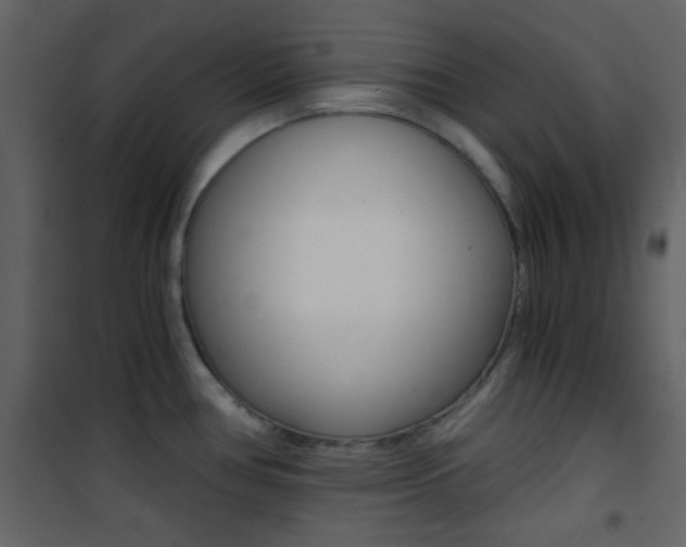 X0000101951386200807171123