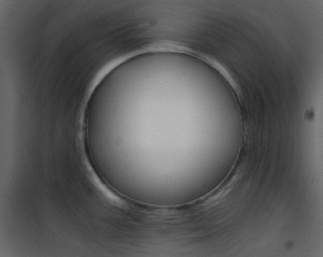 X0000101951387200807171123