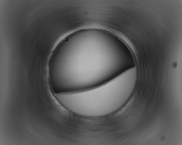 X0000101951388200807171123
