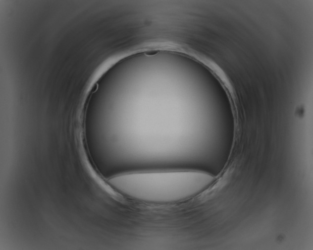 X0000101951389200807171123