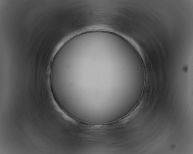 X0000101951390200807171123