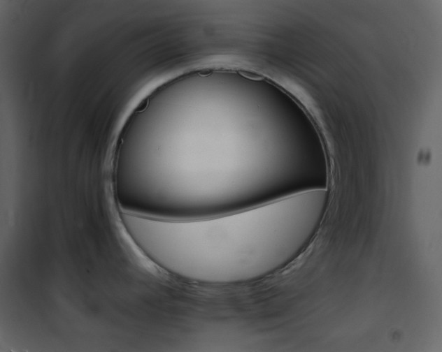 X0000101951392200807171123