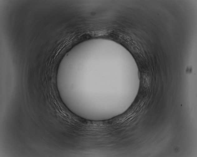 X0000101951393200807171122