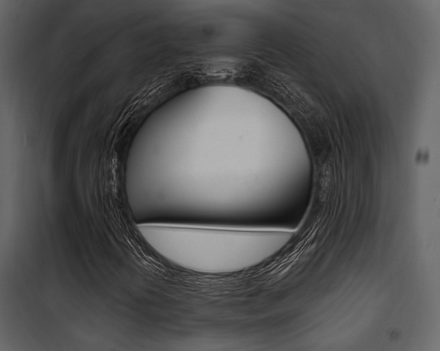 X0000101951394200807171122