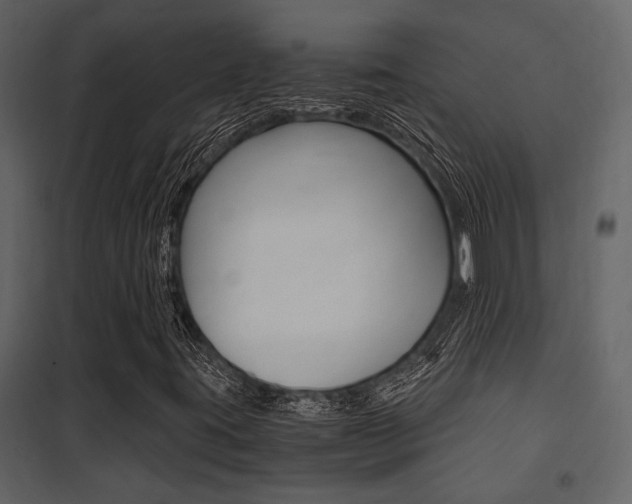 X0000101951395200807171122